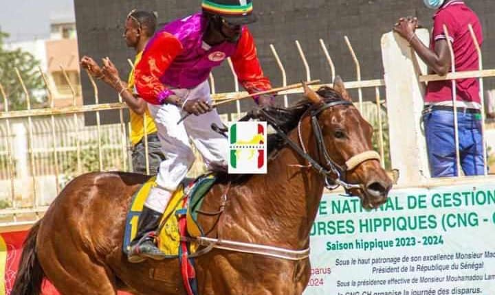 Grand Prix du Chef de l’État : El Capo s’impose et offre une victoire pleine d’émotion à Fallou Diop - wiwsport