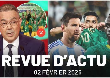 Matchs amicaux pour les Lions en mars ? Can féminine 2026 : flou autour de l'organisation - wiwsport