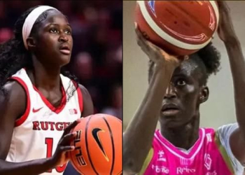 Basket : Retour sur les performances des Lionnes ce week-end - wiwsport