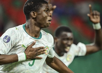 CAN U17 : les Lionceaux sacrés champions d’Afrique après leur victoire face à la Tanzanie - wiwsport