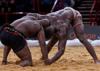 Bras de fer entre la Ligue de Dakar et la FSL : Les Présidents de Ligue prennent position et soutiennent la Fédération Sénégalaise de Lutte - wiwsport