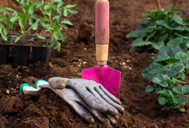 Entretien des jardins