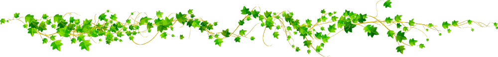 divider jardin