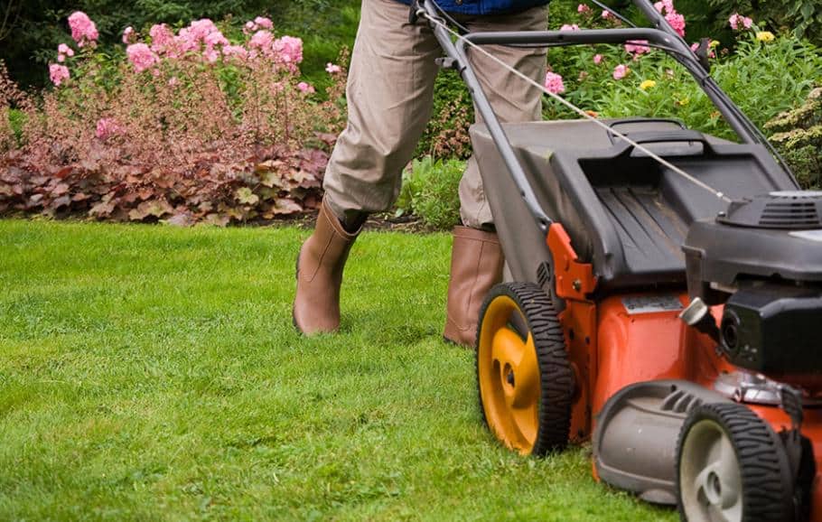 entretien des pelouses allo jardinier