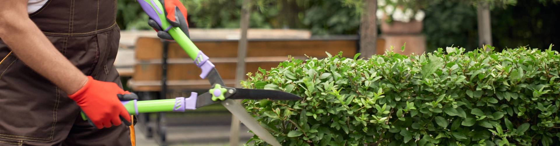 entretien des jardins