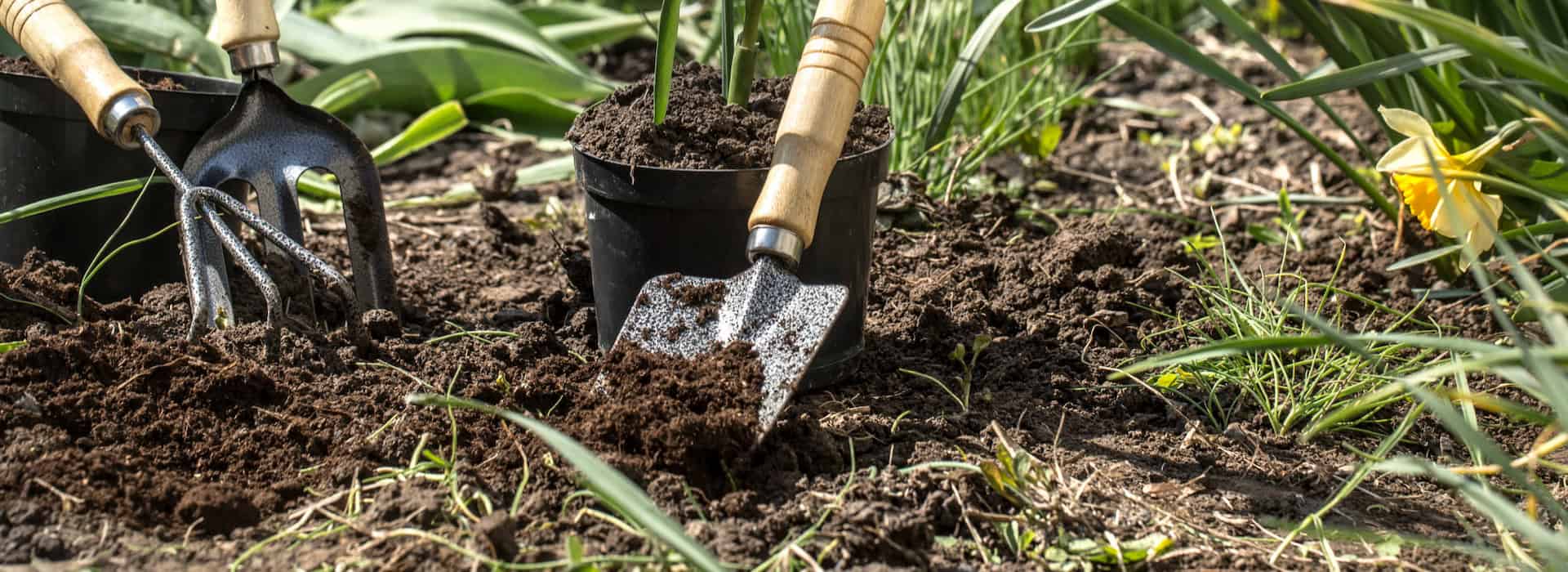 Plantation et conception