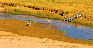 tarangire