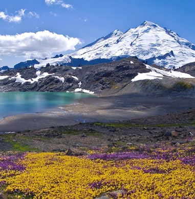 Mt Baker Thumb