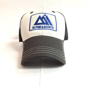 District trucker hat
