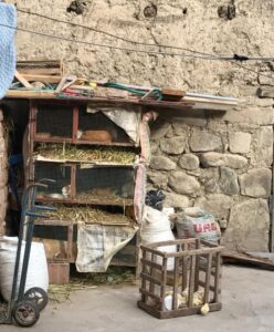 Sacred Valley and Lares Trek 2017: Down the Inca Trail