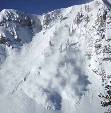 Ski & Avalanche Programs