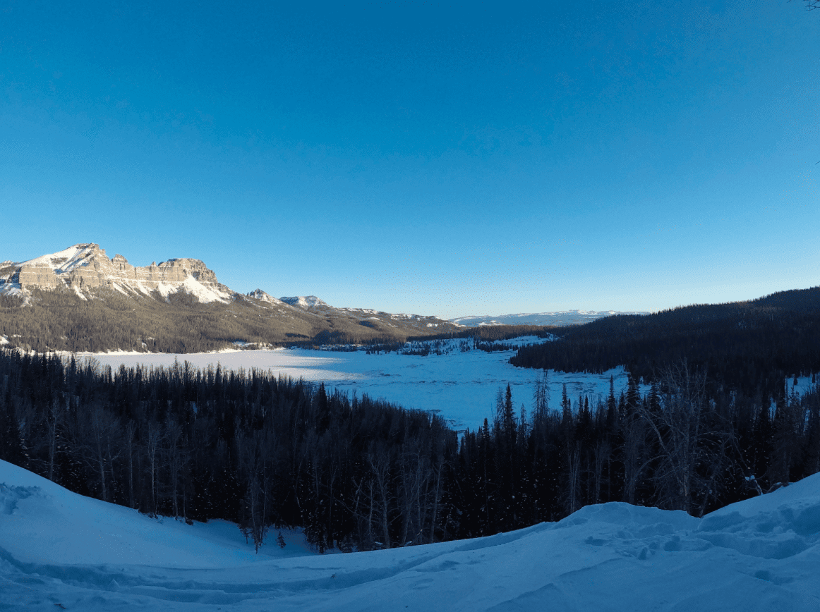 screen shot 2020 03 20 at 2.37.33 pm