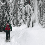 Selecting Snowshoes for Expeditions