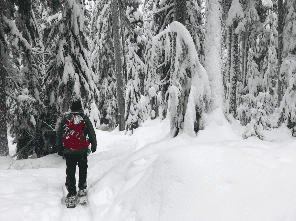 Selecting Snowshoes for Expeditions