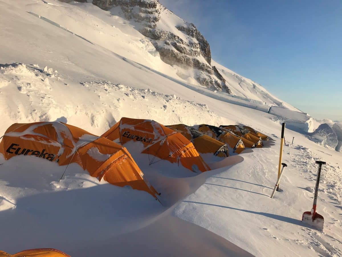 auto draft