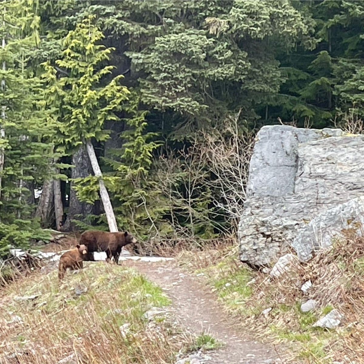 cascades conditions report 6/9/22