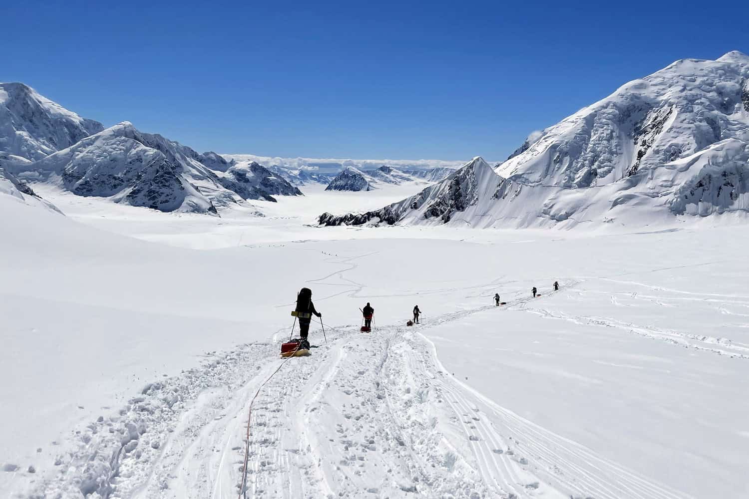 Denali Webinar