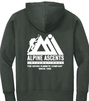 AAI Logo Fleece Hoodie
