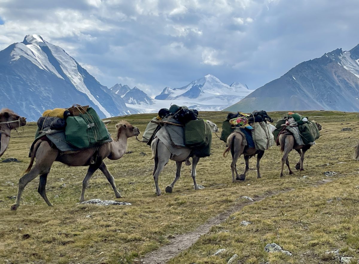 team no shortcuts climbs to base camp