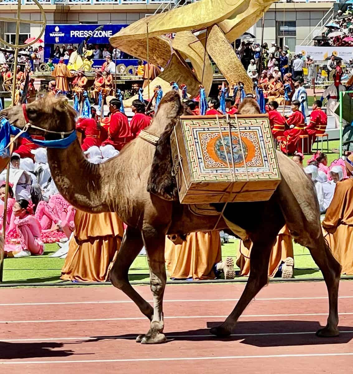 mongolian climb begins with the nadaam festival!