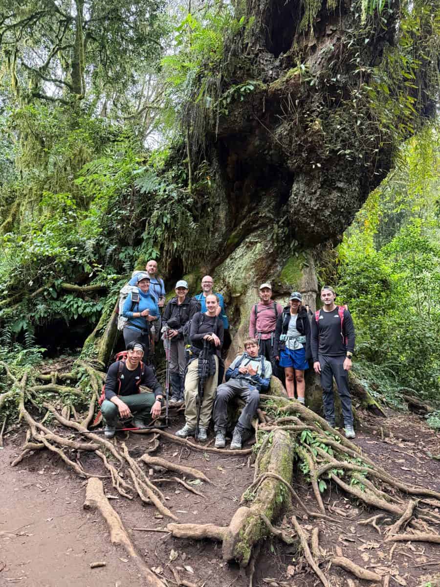A group of hikers poses together by a large, ancient tree in a lush green forest setting.