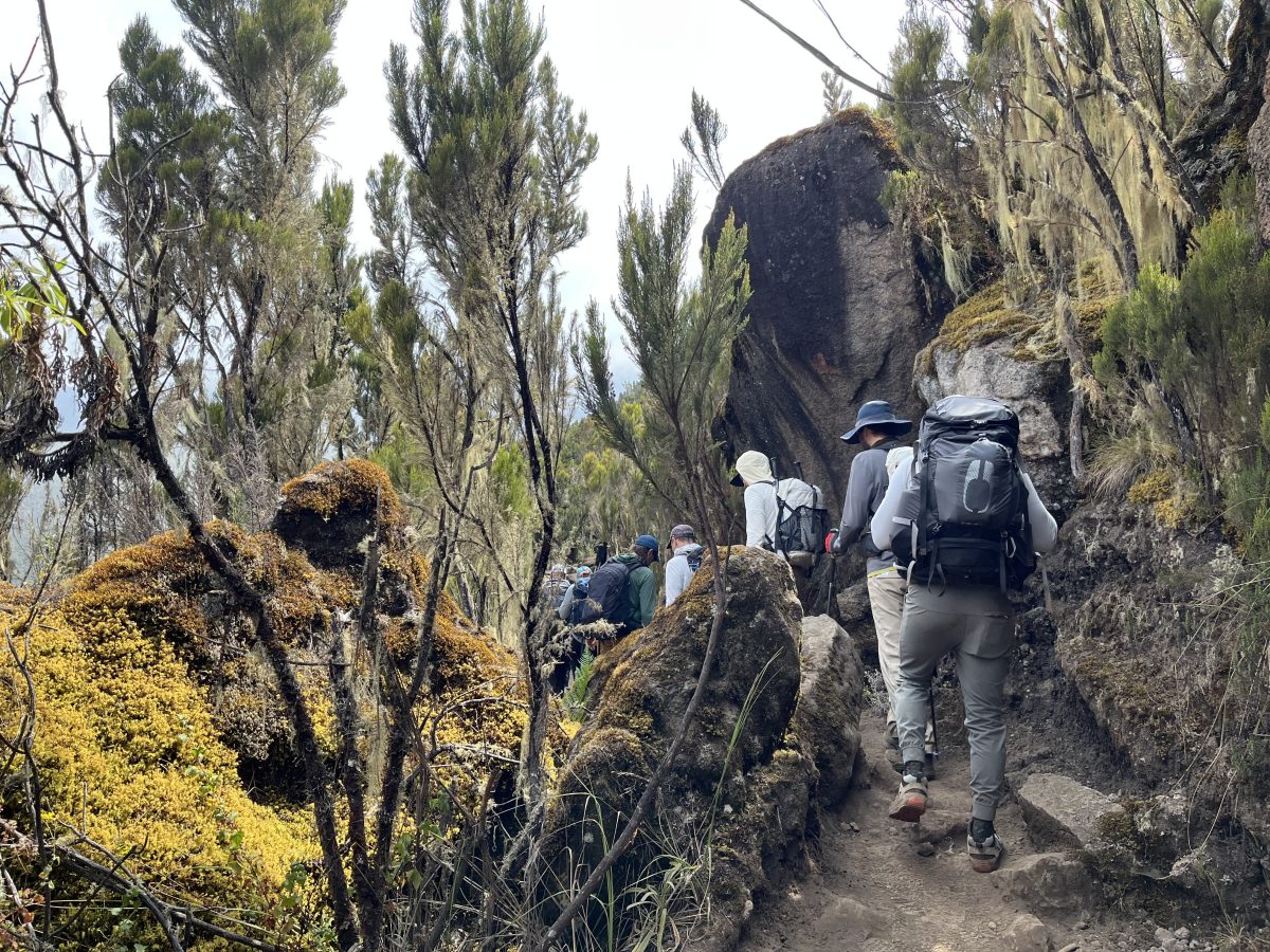 A group of hikers ascends a rugged path surrounded by lush vegetation and rocky formations in a mountainous landscape.