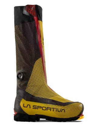 8d363dbf 260c 4fd0 abae ce9324d7e1e0.jpeg