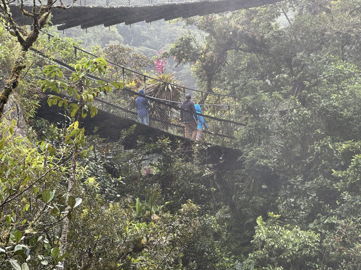 rest day for the shared suffering society