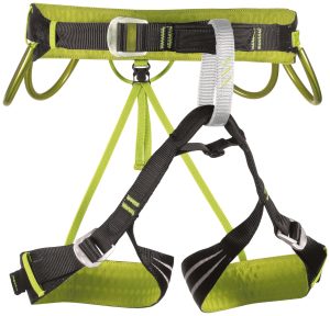alpine flash harness