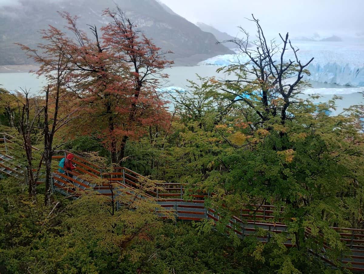 patagonia trek visits the perito moreno glacier