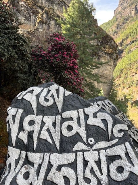 everest base camp team returns to lukla