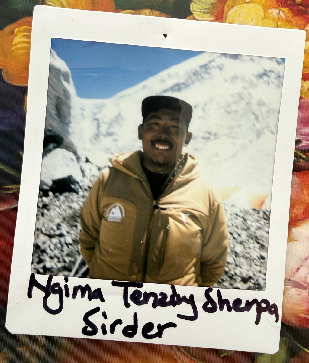 meet the everest team