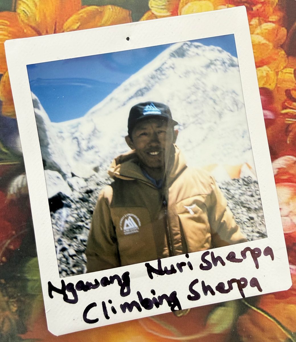 meet the everest team