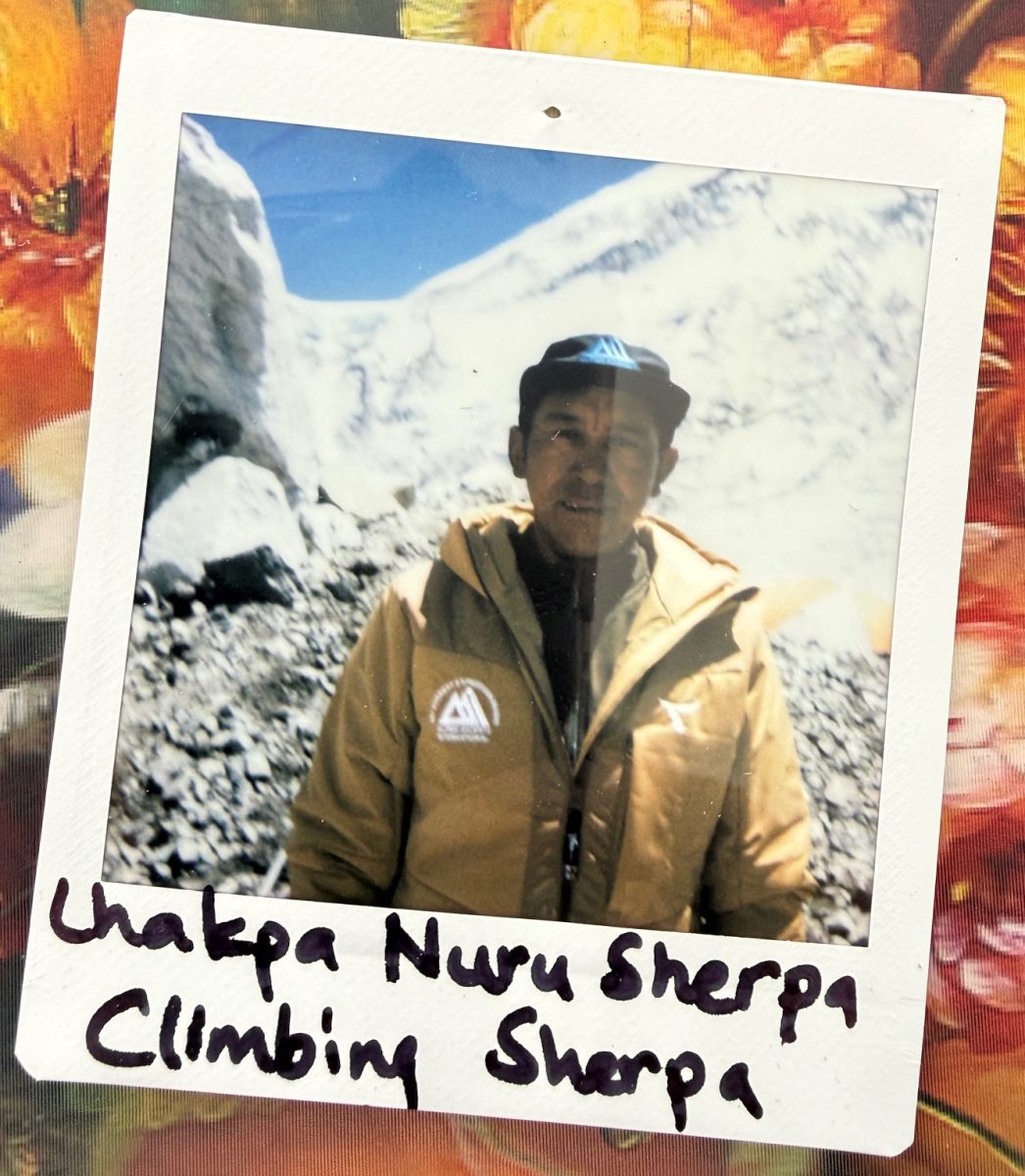 meet the everest team