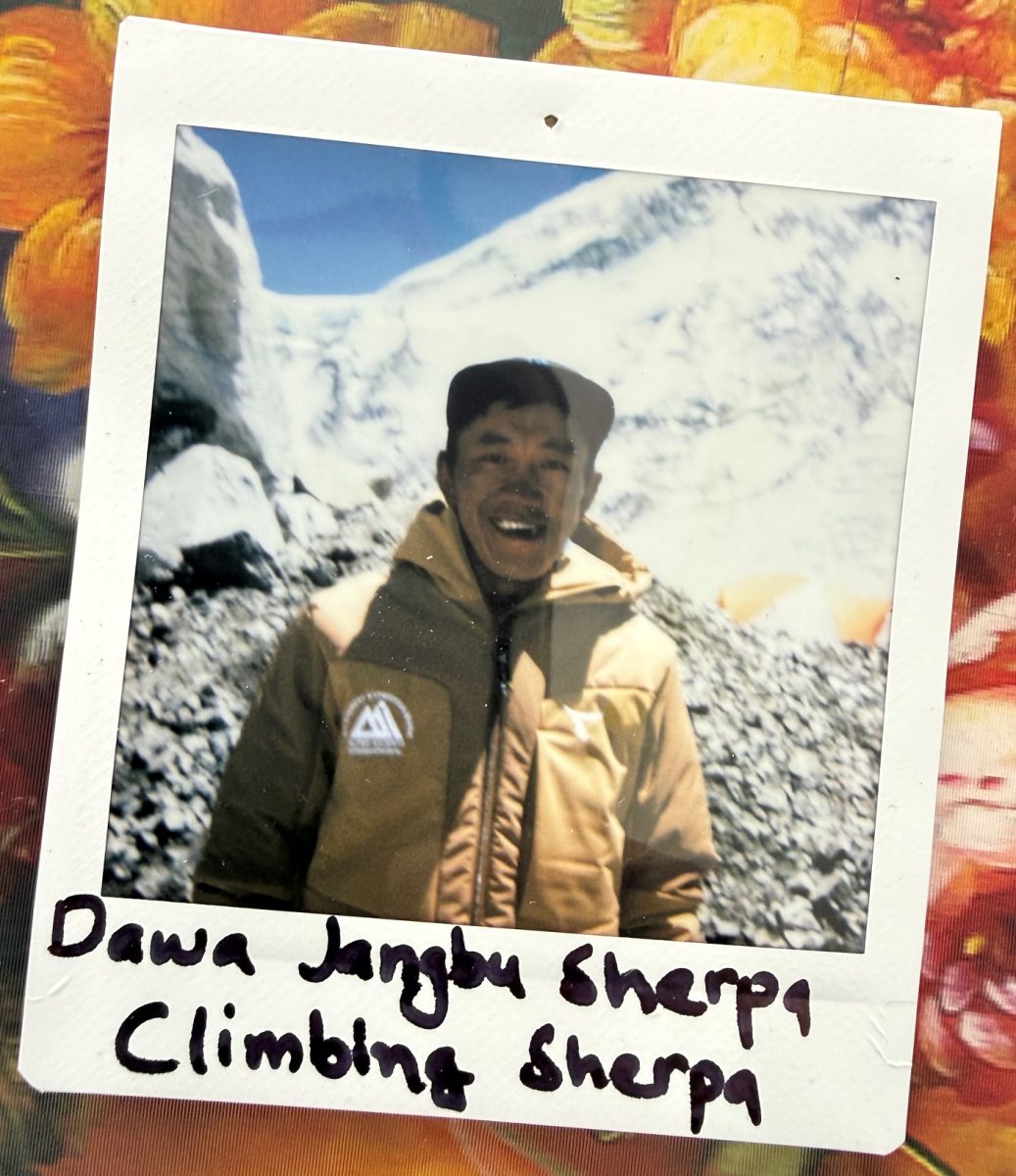 meet the everest team