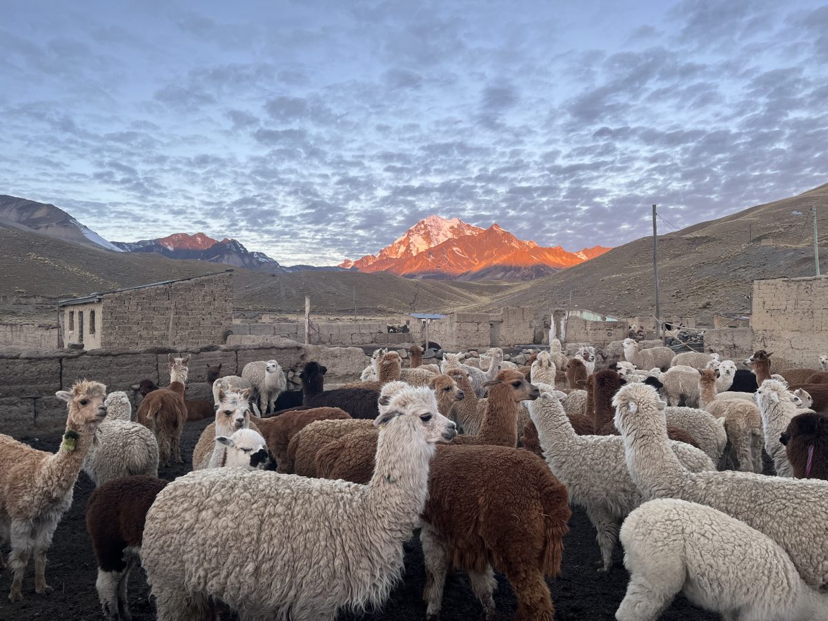the hypoxic hill hoppers leave condoriri base camp
