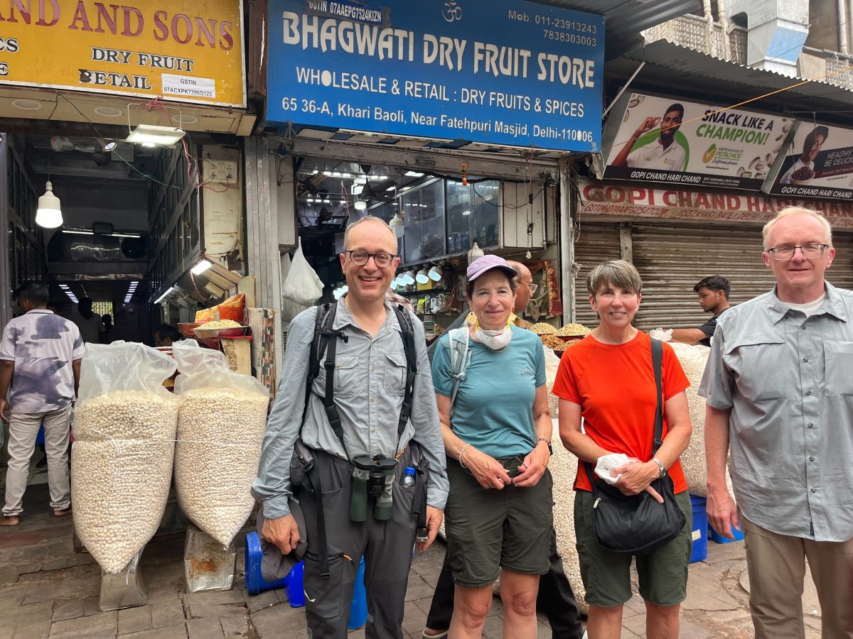 team tours delhi 