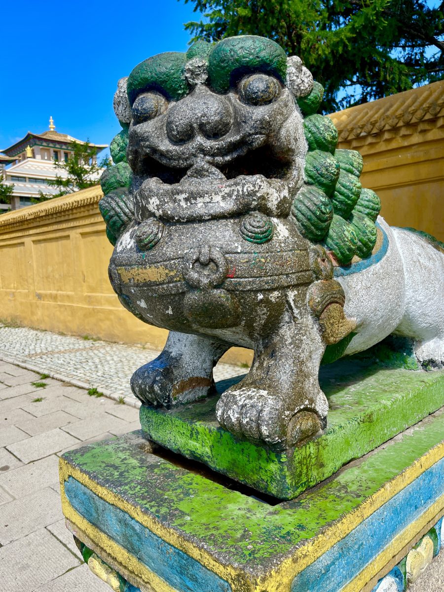 mongolia team explores ulaan baatar