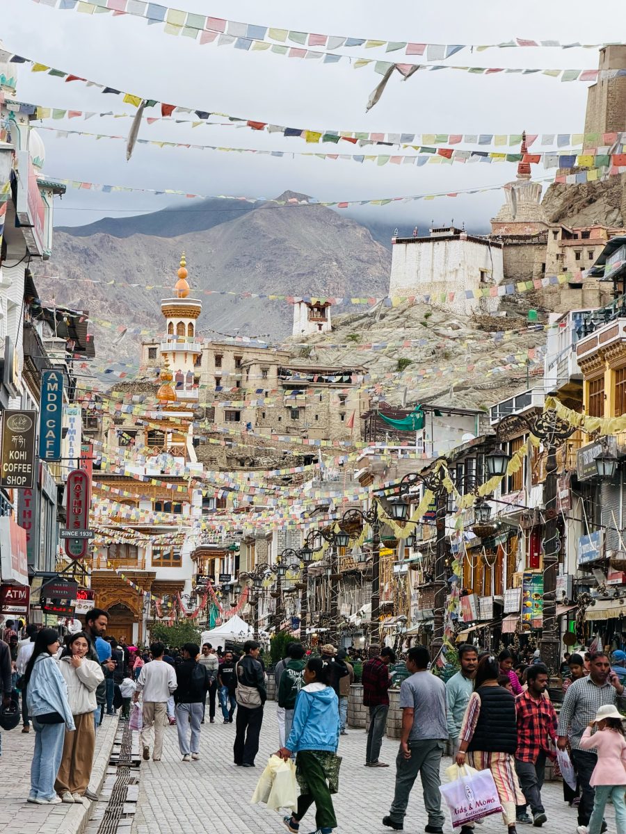 team arrives in leh