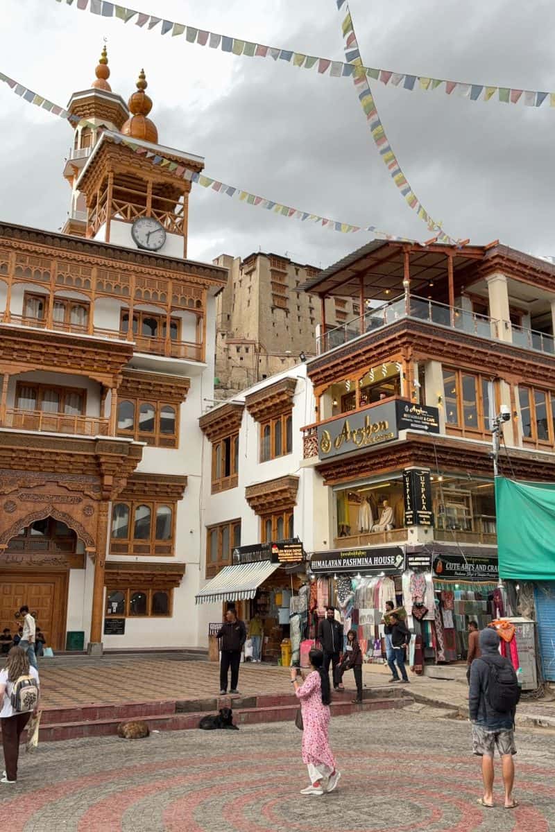 team arrives in leh
