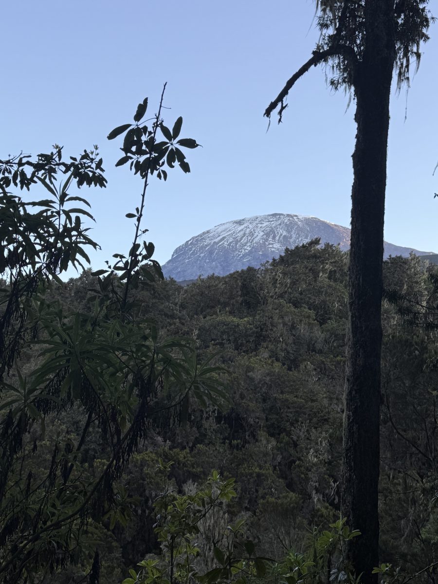 machame team heads to the safari