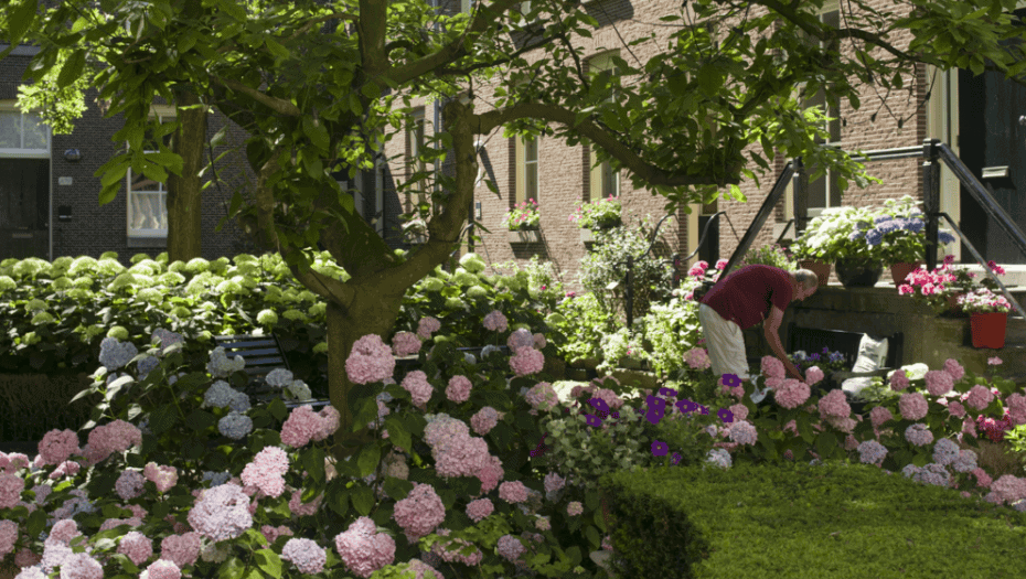 Romantisch: Begijnhof Amsterdam