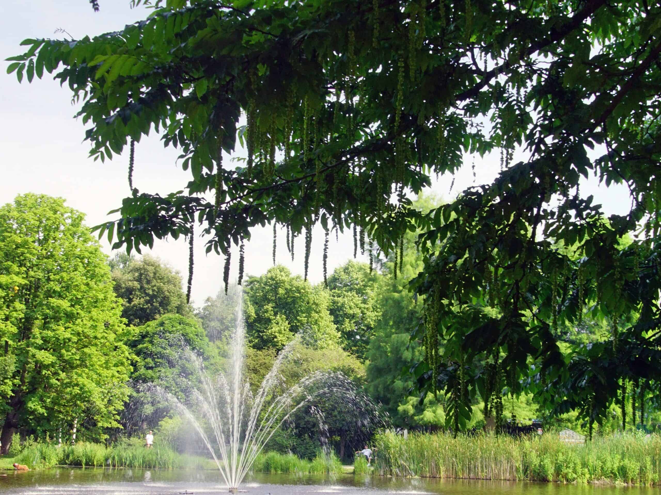 Romantisch: Spaziergang im Vondelpark