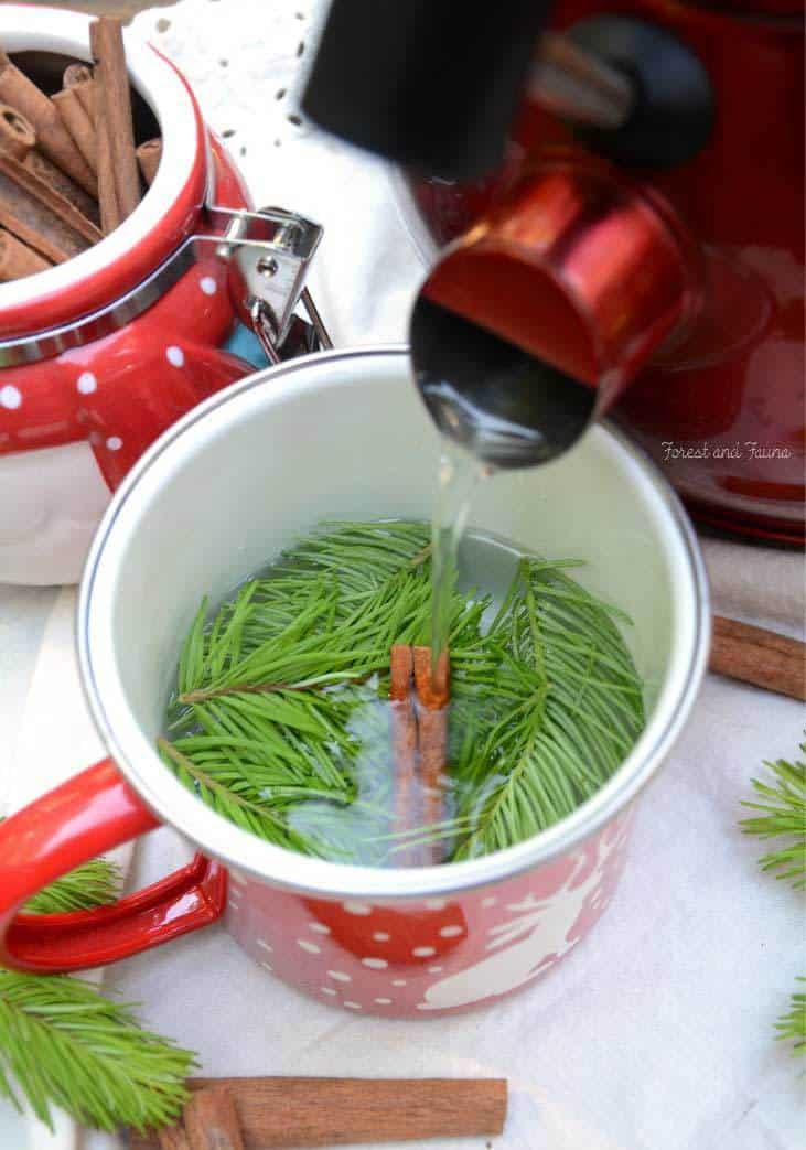 Fir Tree Tea recipe