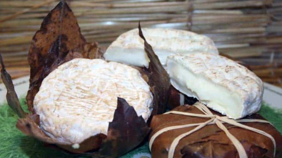 Banon stinky cheese