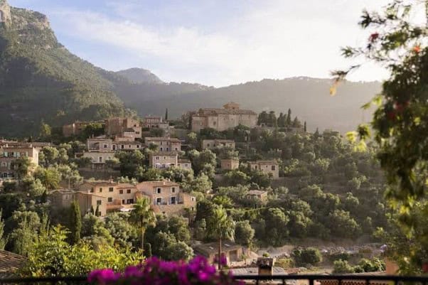 Stone buildings of a village nestled on a hillside covered with olive trees, viewed from a balcony with purple flowers in the foreground.