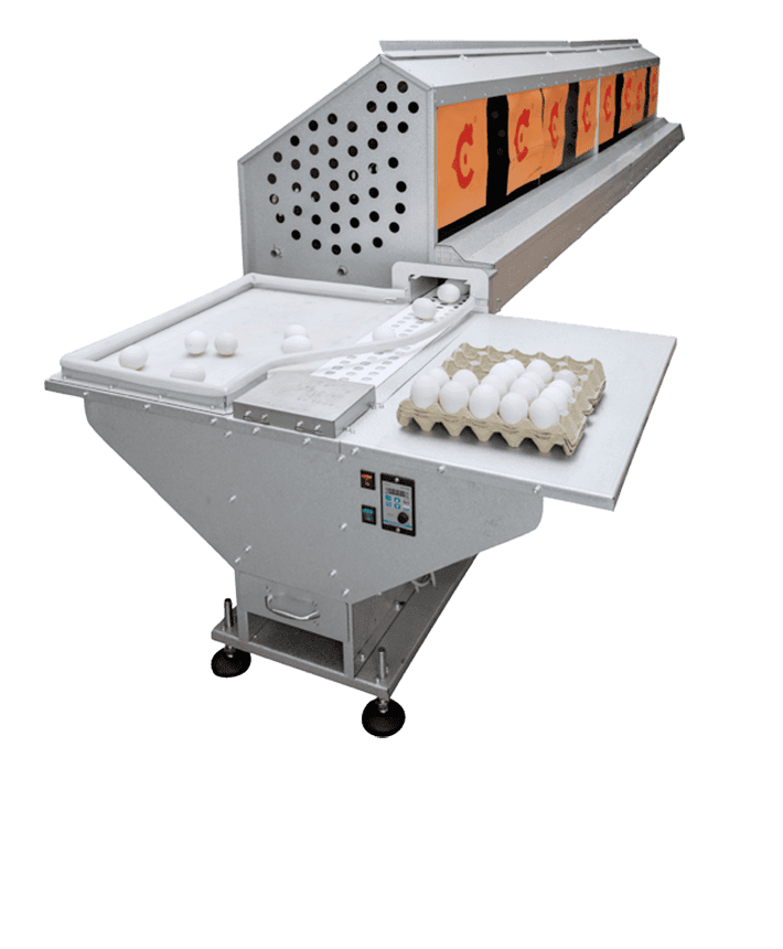 Automatic-egg-collection-equipment