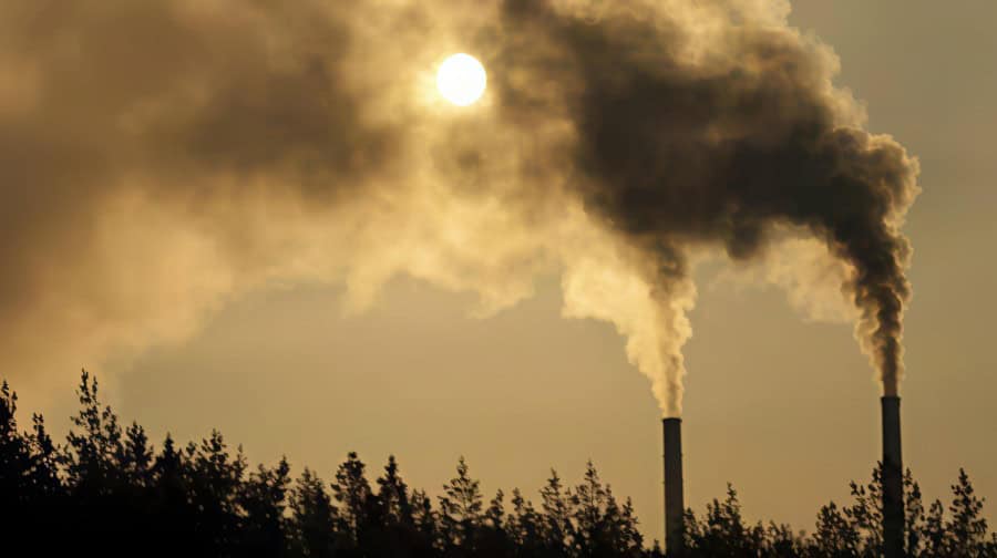 The pollution caused by burning and drying manure can be solved by Bolong chicken manure fermentation tank