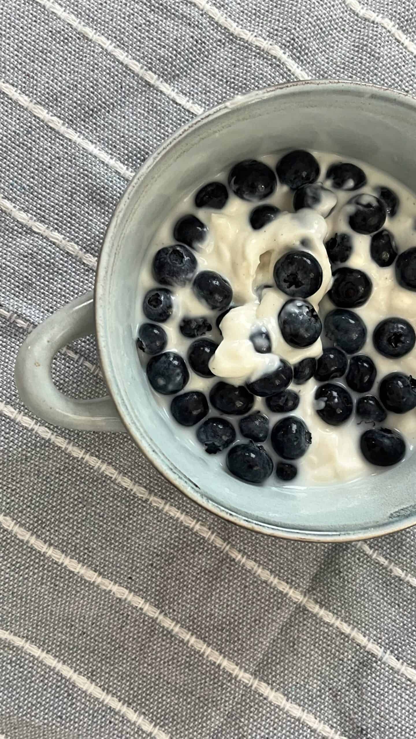 A bowl of yogurt and blueberries.