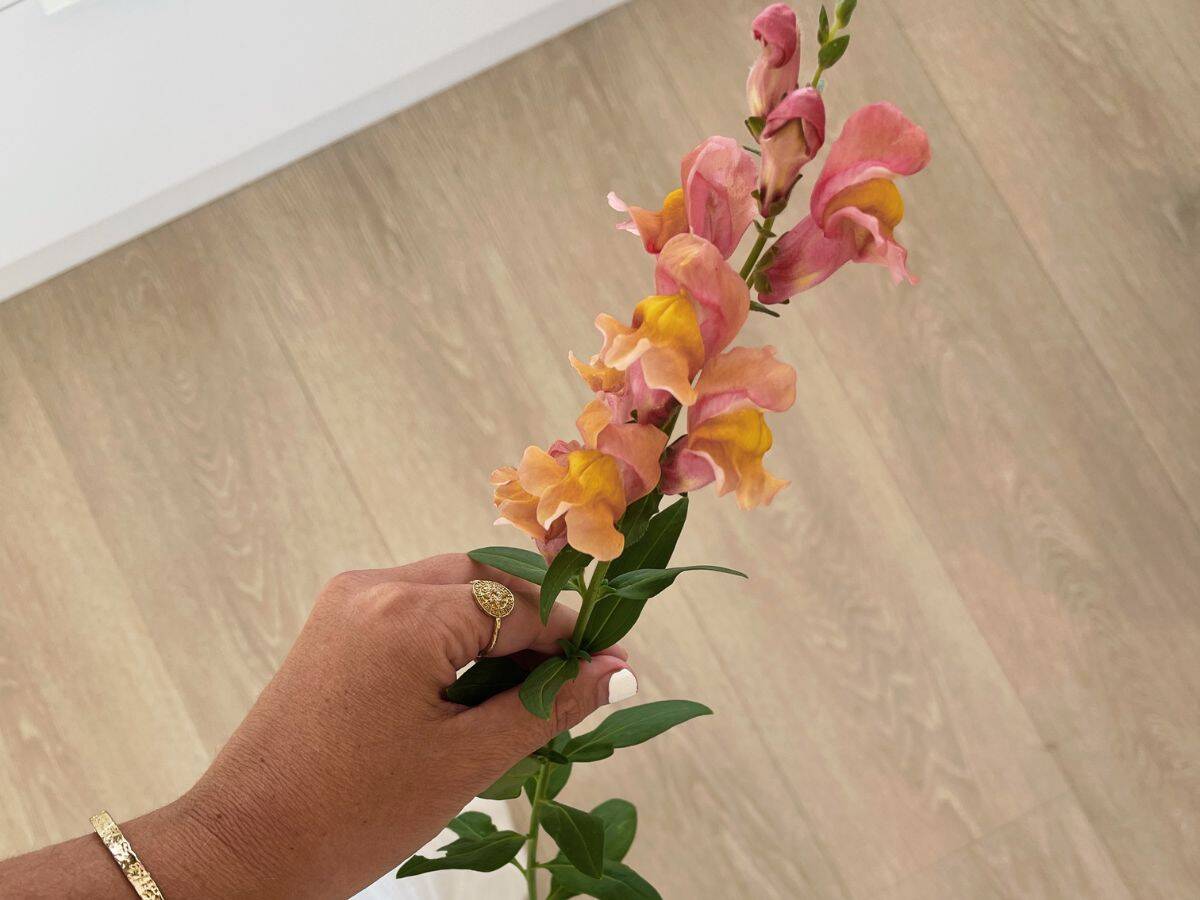 A woman holding a flower.